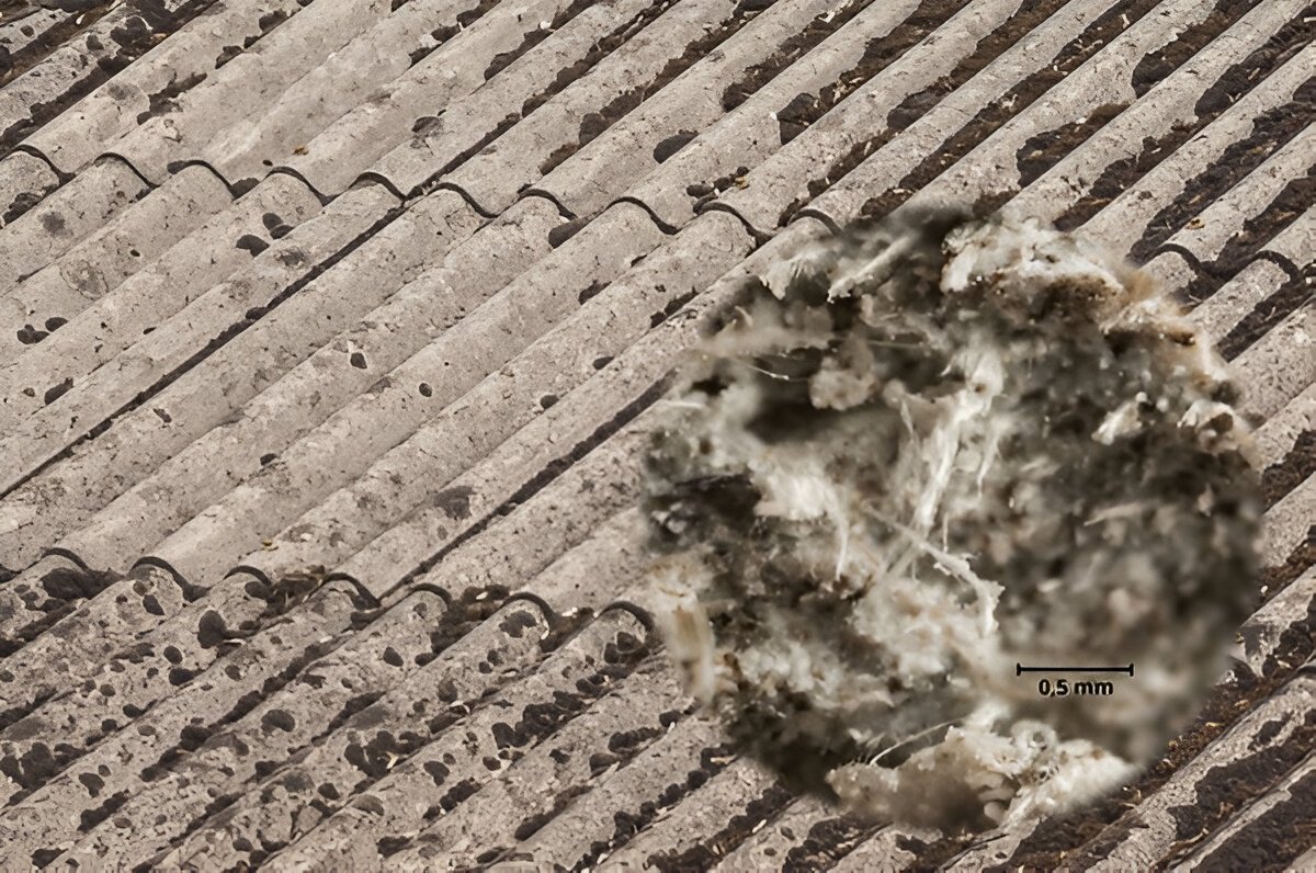 Contractor Punished After Asbestos Exposure Incident